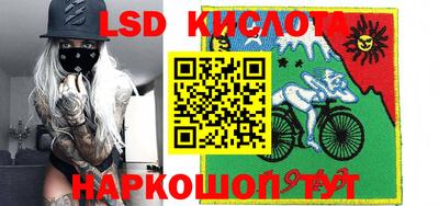 прущие грибы Кимры