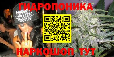 дурь Канаш