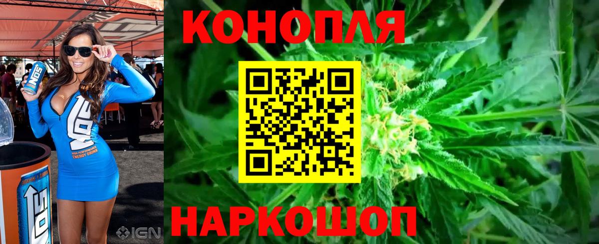 Карабулак  МАРИХУАНА планчик  Вход с VPN  Шишки марихуана конопля  Конопля сатива 